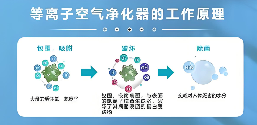 微信圖片_2026-05-25_102116_882.png